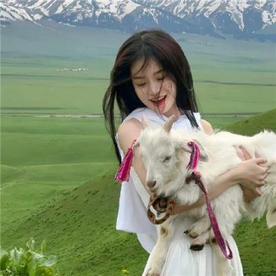 五彩神箭封面