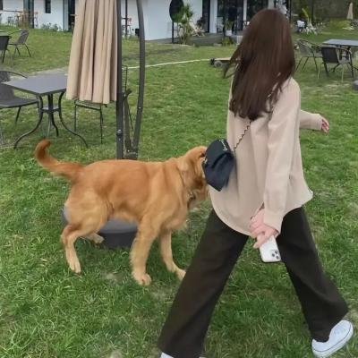 破镜奇案封面