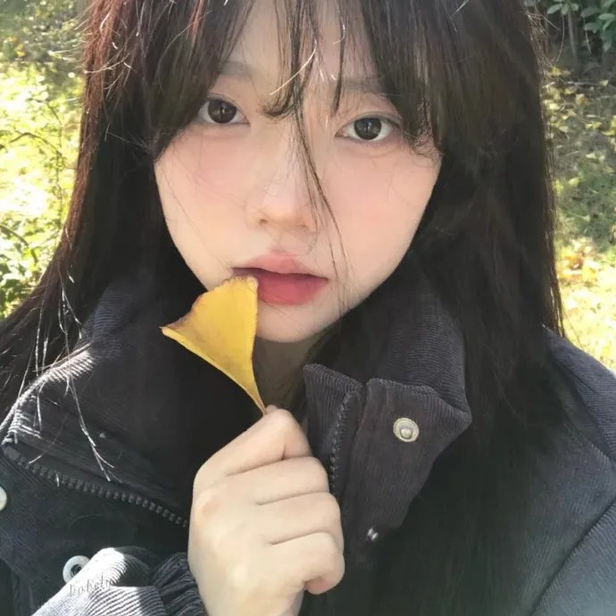 智叻狗仔队封面